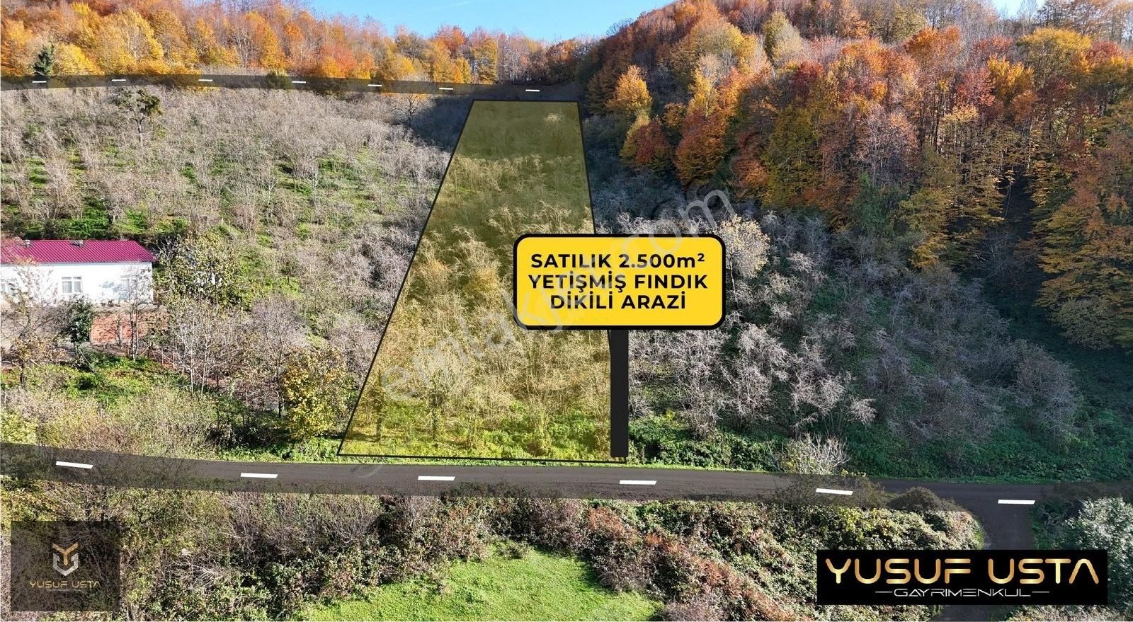 Yusuf Usta Gayrimenkul'den Düzköy'de Satılık 2500m² Fındıklık - Görsel 14