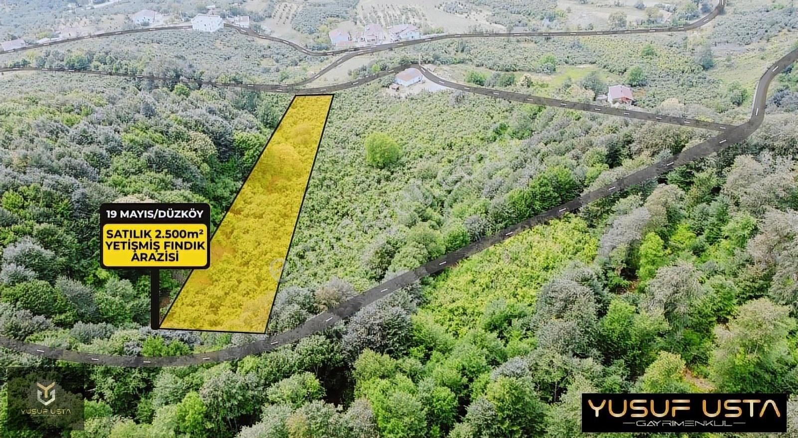Yusuf Usta Gayrimenkul'den Düzköy'de Satılık 2500m² Fındıklık - Görsel 9