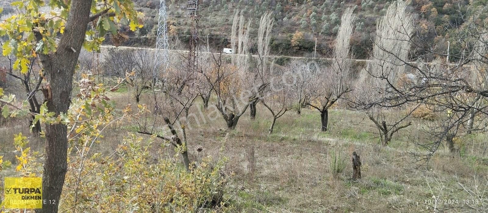 Ödemiş Küçükören Satılık Bağ & Bahçe İzmir Ödemiş Satılık Meyve Bahçesi