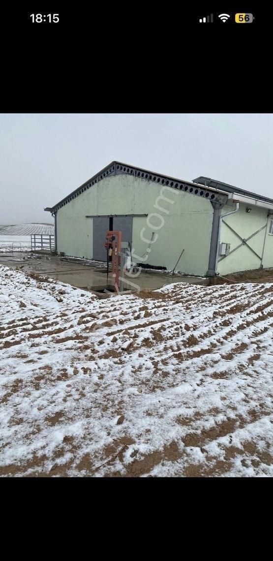 Nevşehir Kozaklı Satılık Müstakil İşyeri 100 Başlık Sıfır Mandıra Çiftlik