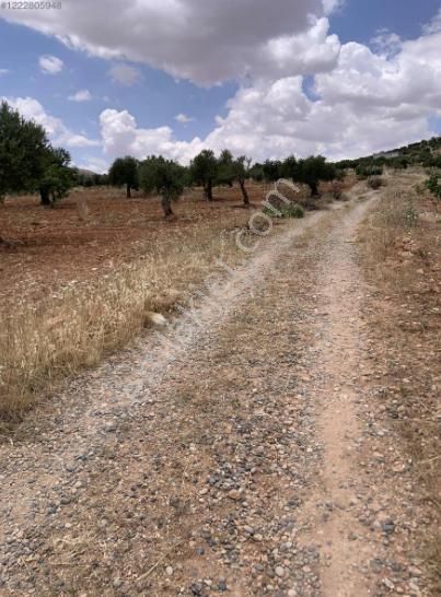 Nizip Akçakent Satılık Bağ & Bahçe Akçakent - Nizip ' De Satılık Otoban Manzaralı Küçük Parsel Arazi.