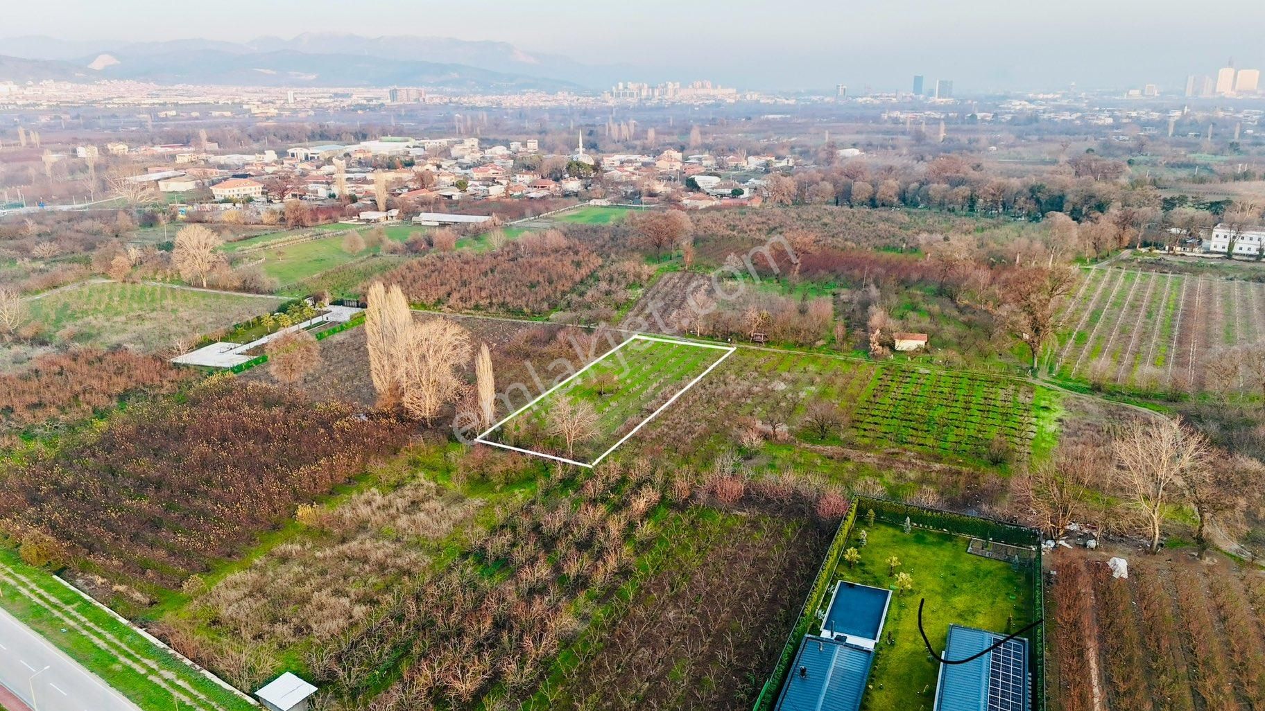 Osmangazi Çeltikköy Satılık Tarla Şehrin Merkezin De 2,500m2 Resmi Yola Cephe Müstakil Parsel