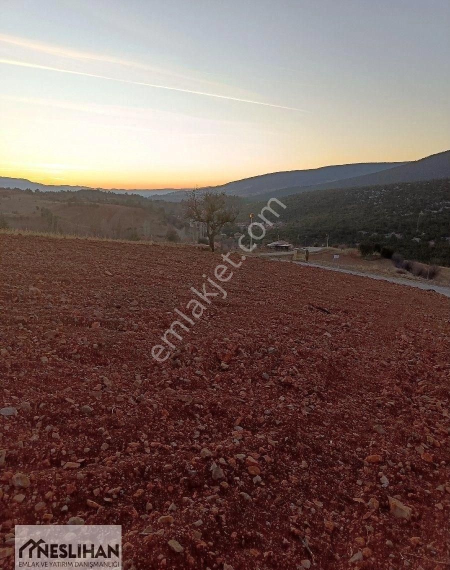 Tavas Dereağzı Satılık Tarla Tavas Dereağzı Köy Girişi Beyağaç/muğla Yolu Cepheli Tarla Satılıktır