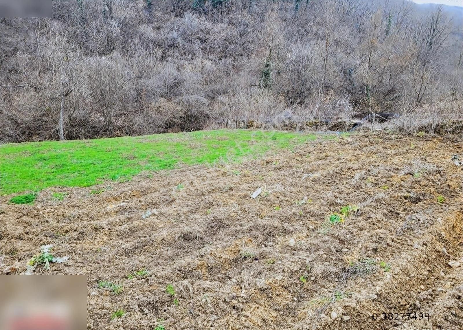 Kavak Değirmencili Satılık Bağ & Bahçe 1330m2 Kavak Degırmencılı Koyunde Harıka Irmak Kenarı