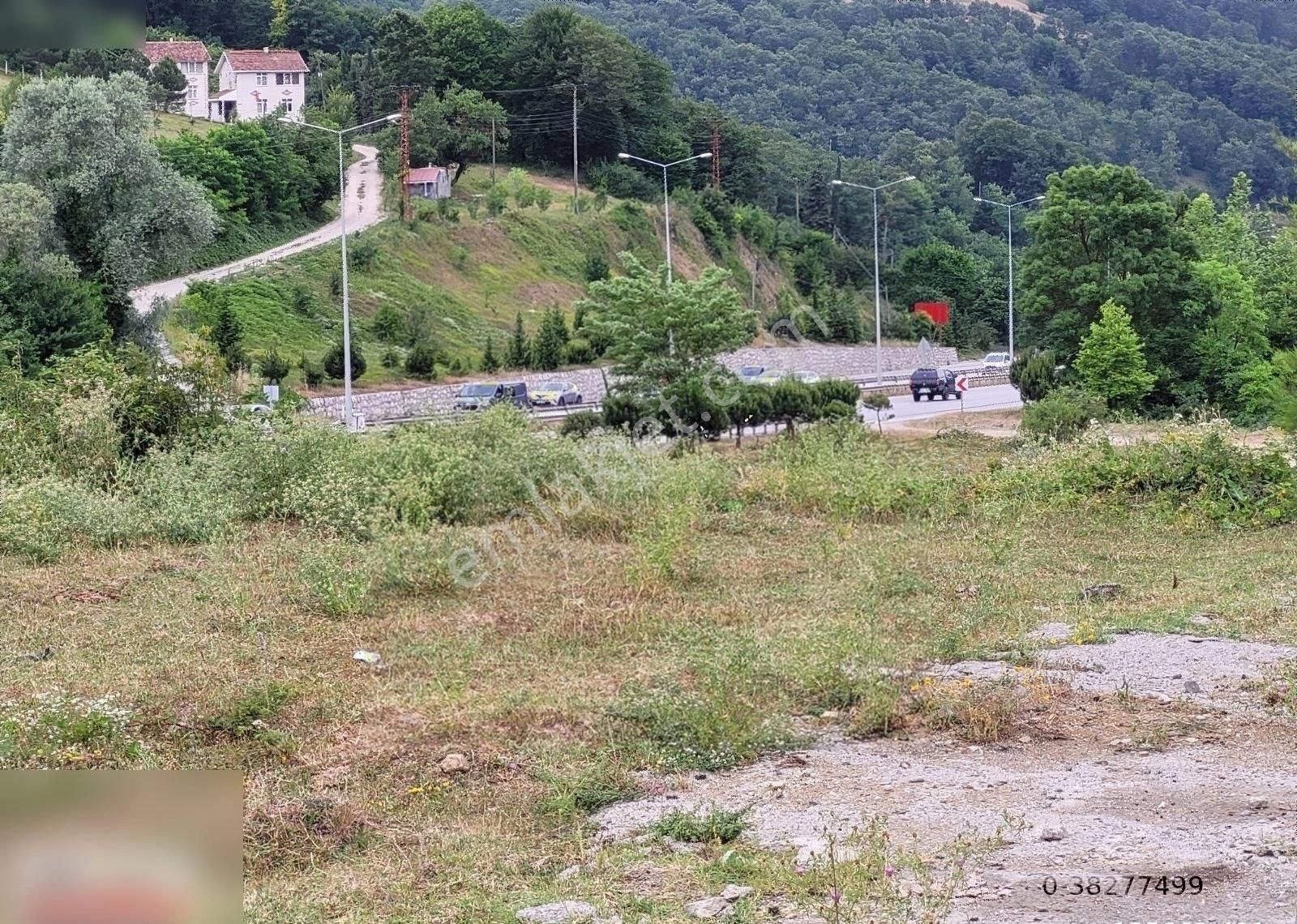 Kavak Mahmutlu Satılık Bağ & Bahçe Satılık Kamyon Garajına Uygun Tarla Mahmutlu Sapagı