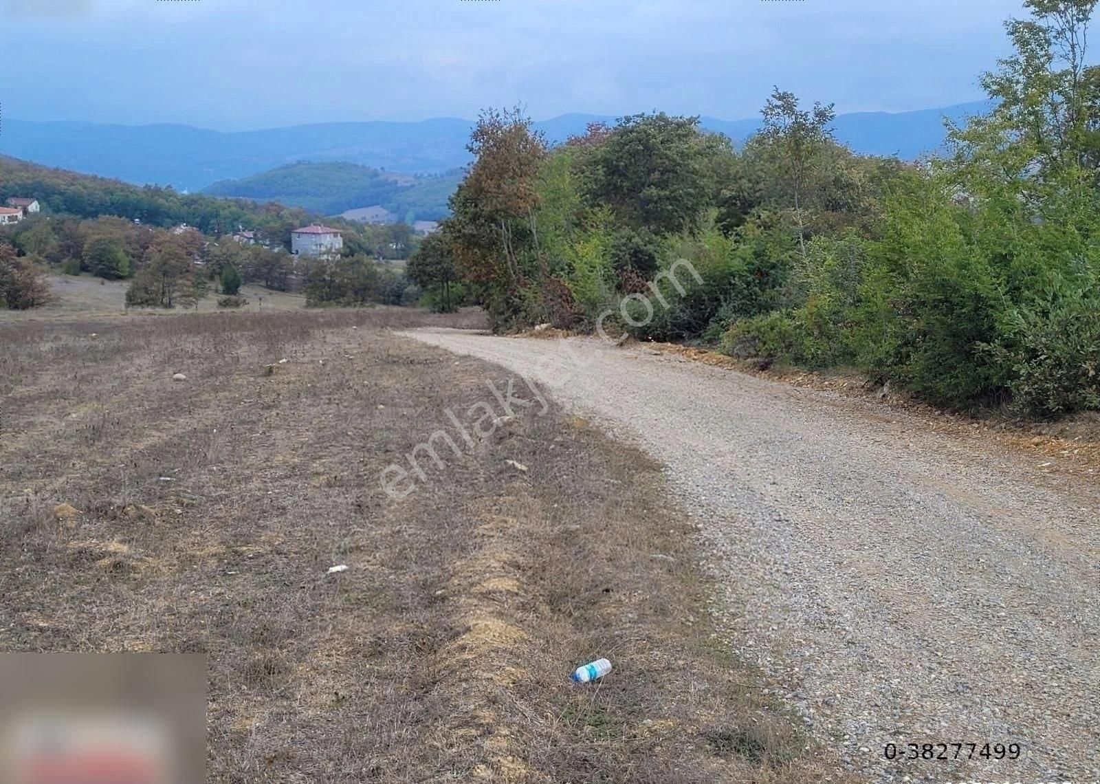 Kavak Mahmutlu Satılık Bağ & Bahçe Mahmutlu Sapagında 1098m Yazlıklar Bolgesınde Harıka Konum