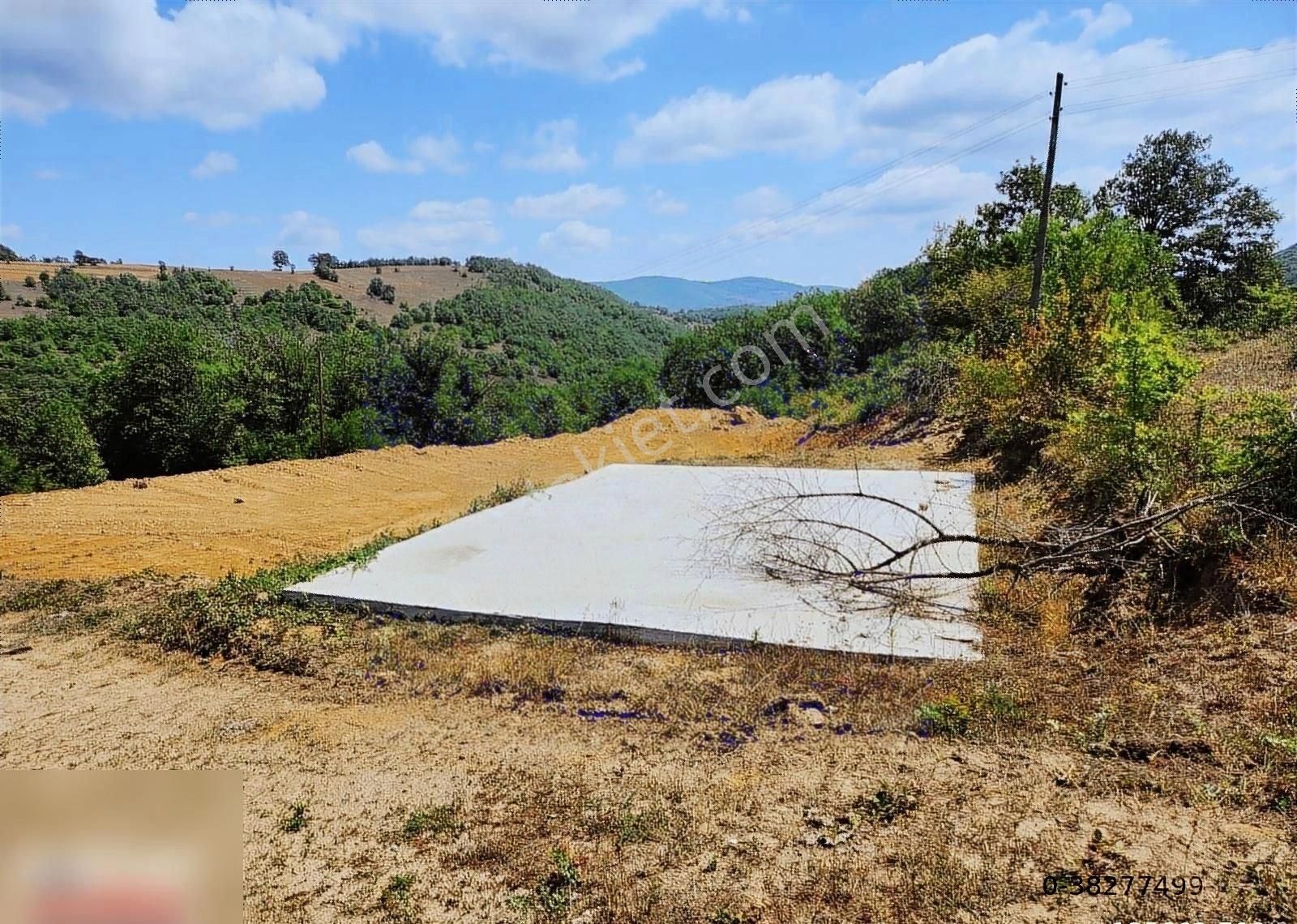 Kavak Çakallı Satılık Tarla Kavak Sakarcada Satılık Mustakıl Tarla