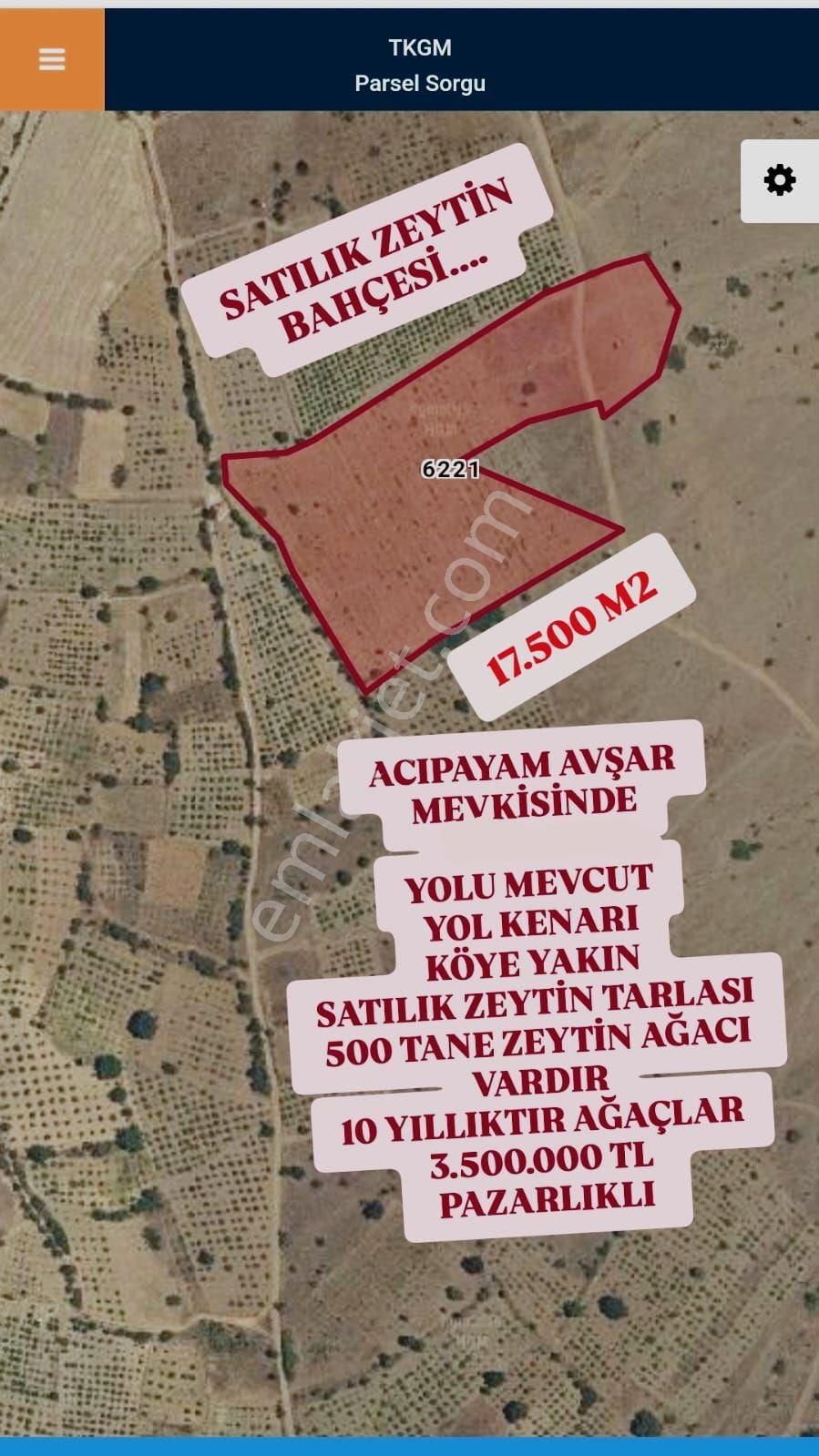 Acıpayam Avşar Satılık Zeytinlik Acıpayam Avşar Mevkisinde 17.500 M2 Satılık Zeytinlik