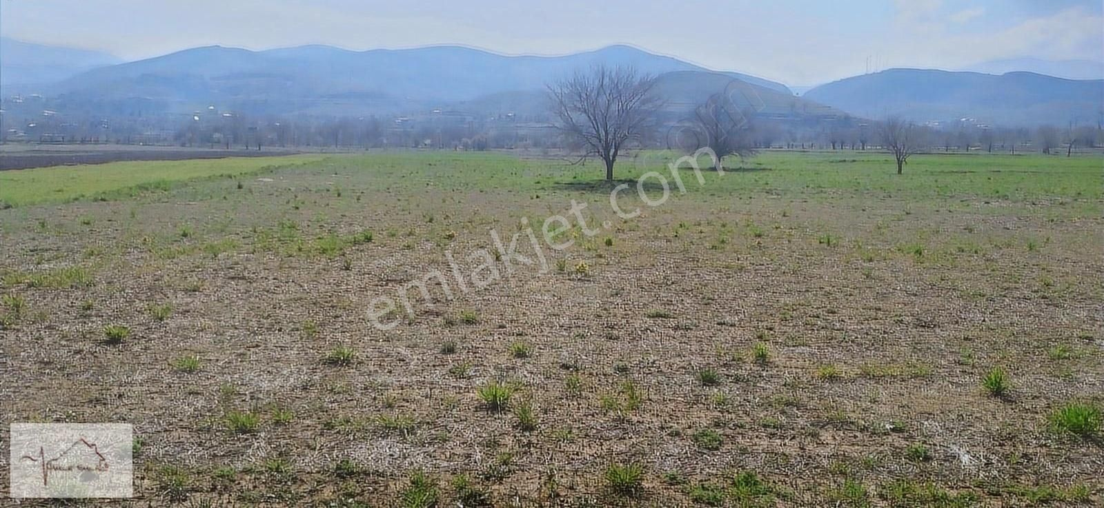 Elazığ Merkez Elmapınarı Köyü Satılık Tarla Elmapınar Da Satılık Tarla