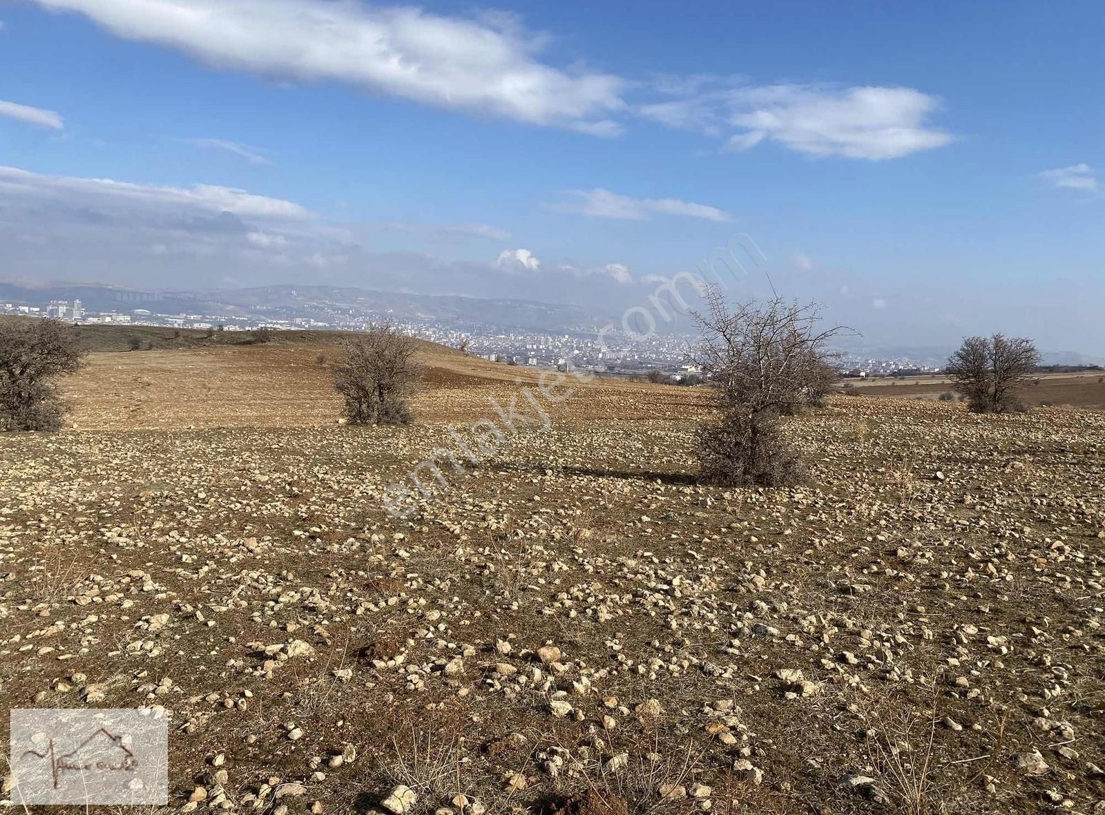 Elazığ Merkez Yemişlik Köyü (Meryem) Satılık Tarla Hamle'den İmara 700 Metre Mesafede Satılık 23 Dönüm Tarla