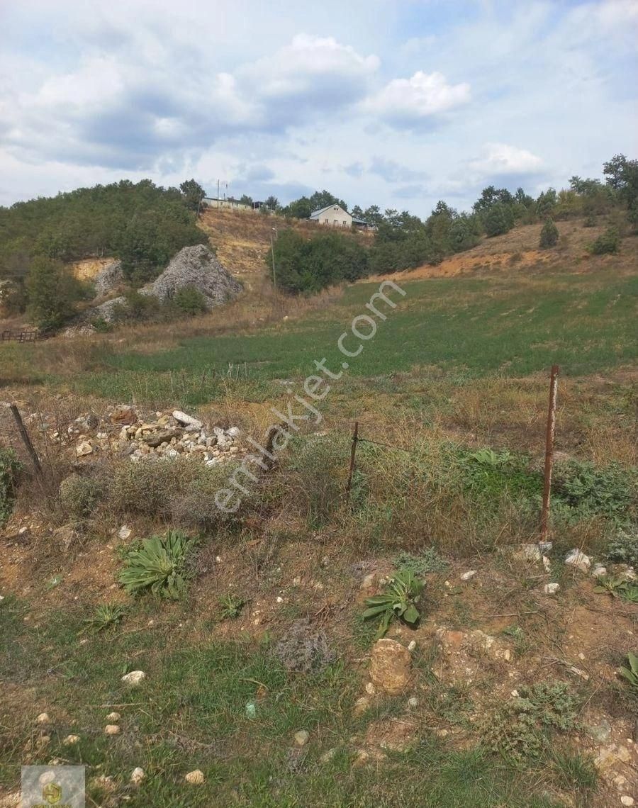 Bozüyük Kapanalan Köyü Satılık Tarla Bilecik Bozüyük Kapanalan Yol Cepheli Satılık Tarla