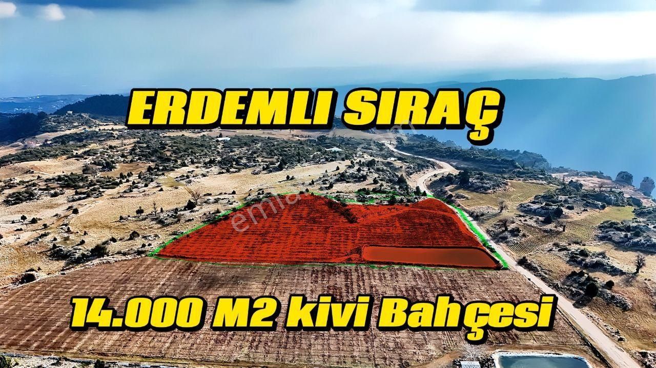 Erdemli Sıraç Satılık Tarla Thor'dan Satılık Erdemli Sıraç Mahallesi 14.000 M2 Kivi Bahçesi