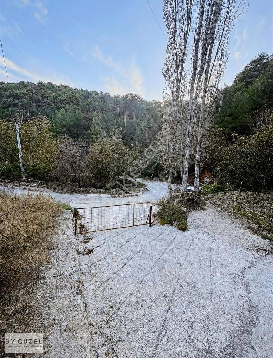 Alanya Mahmutseydi Satılık Tarla Mahmutseydi Mahallesinde Tek Tapu Satılık Tarla