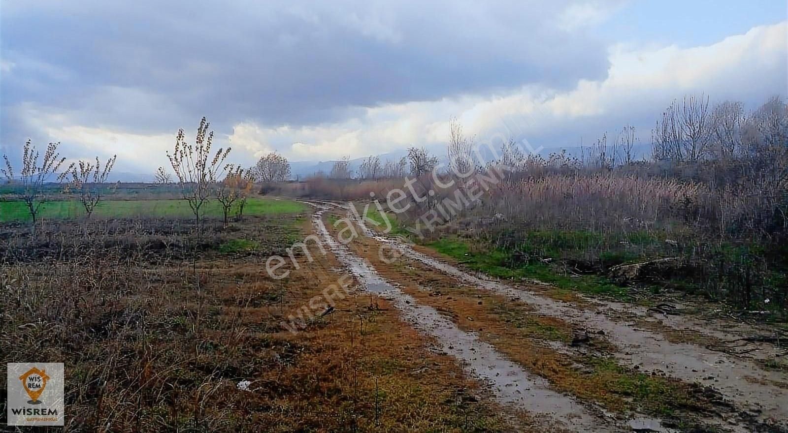 Pamukova Cihadiye Satılık Tarla Sakarya, Pamukova, Cihadiye Satılık Tarla