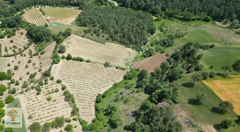 Geyve Yaylak Satılık Tarla Gelişen Bölgenin Yıldızı !! Yüksek Prim Potansiyeli - Fırsat