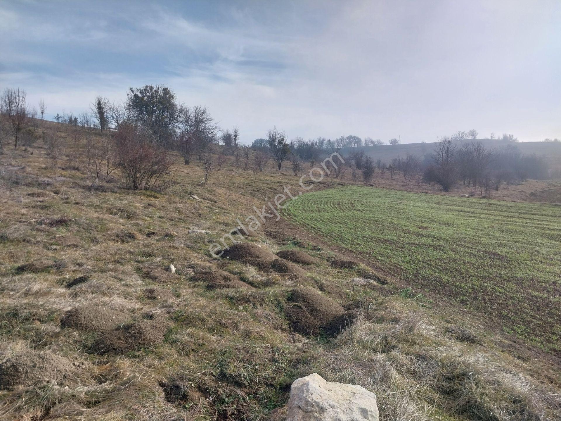 Kastamonu Seydiler İmrenler Köyünde Satılık Tarla - Görsel 7