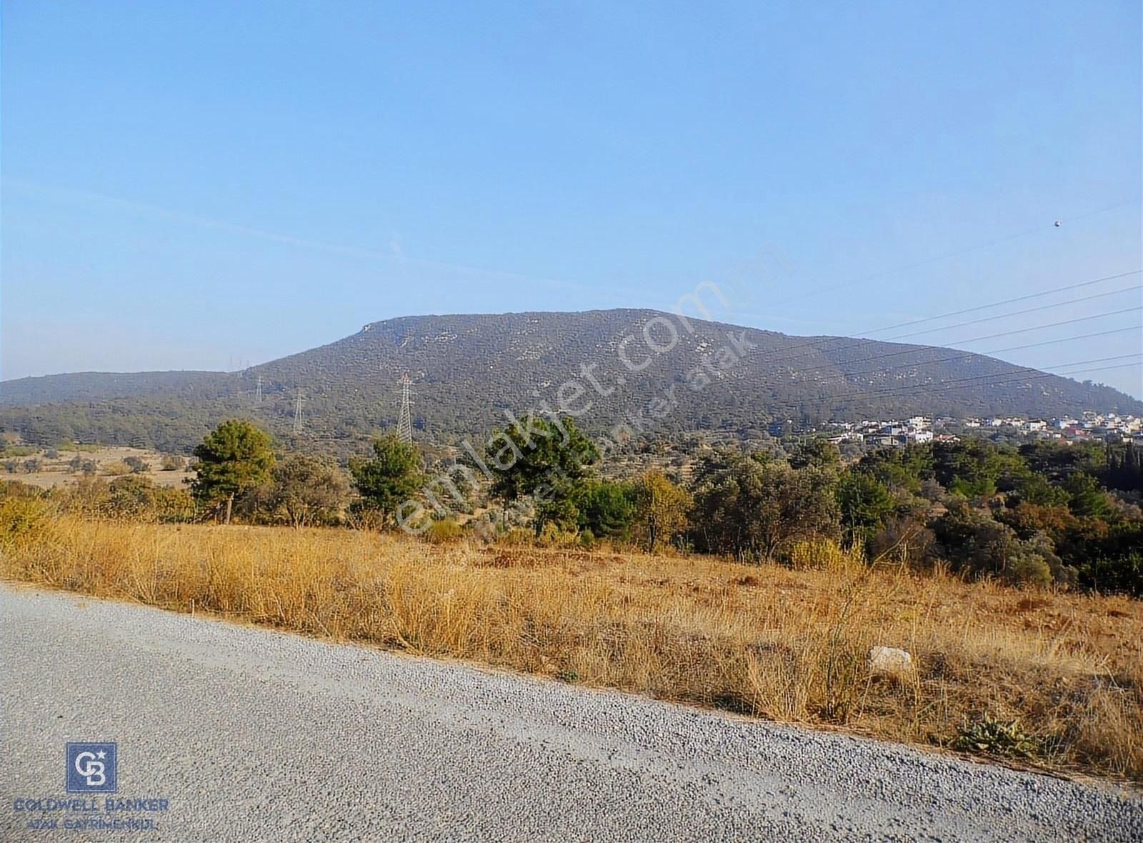 Urla Yenice Satılık Tarla Urlada Satılık Arazi Kekliktepe Ve Kalabak Birleşiminde