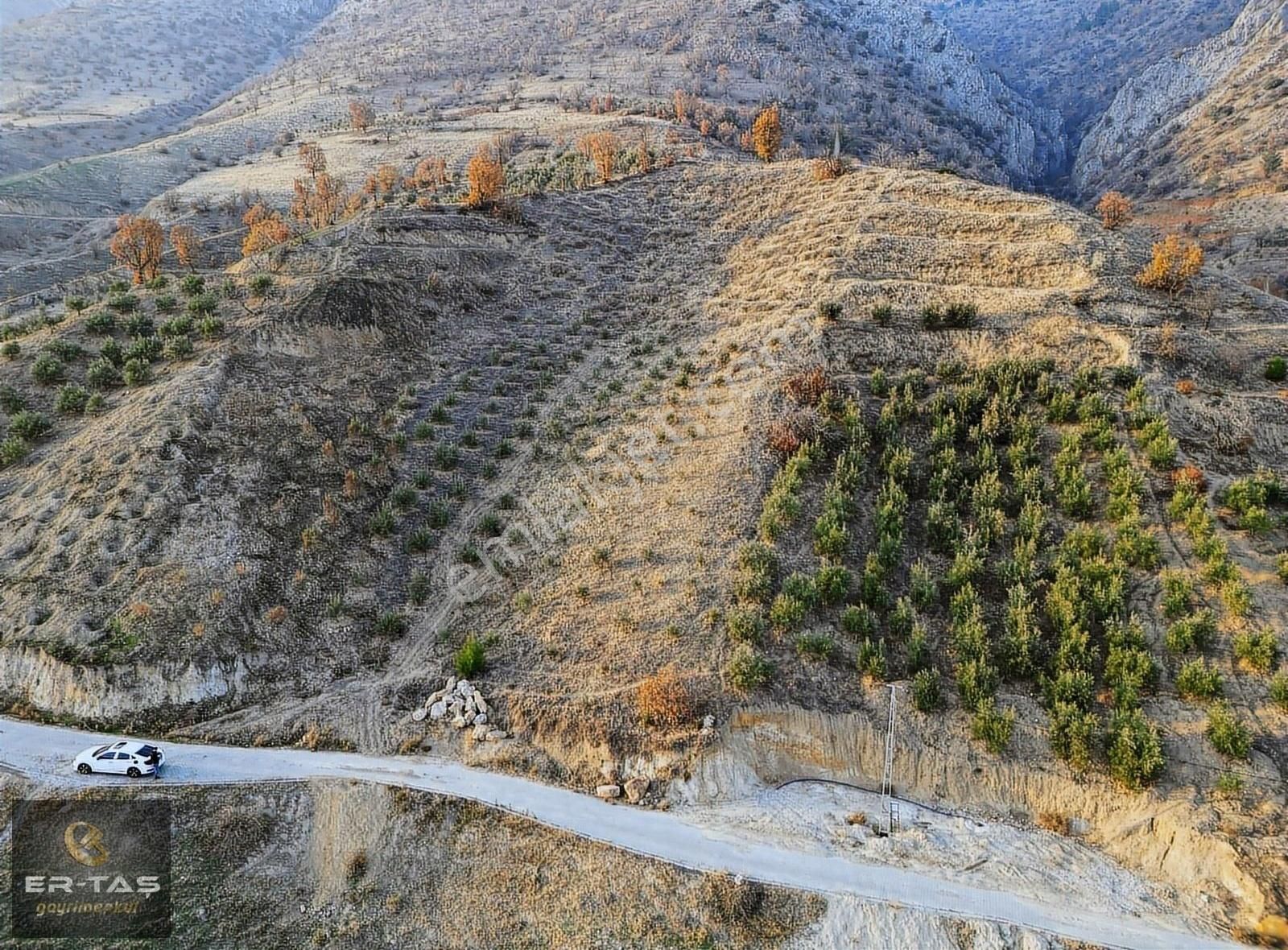 Onikişubat Dadağlı Satılık Tarla Er-taş'dan Merkeze 20 Km Uzaklıkta Satılık Zeytinlik