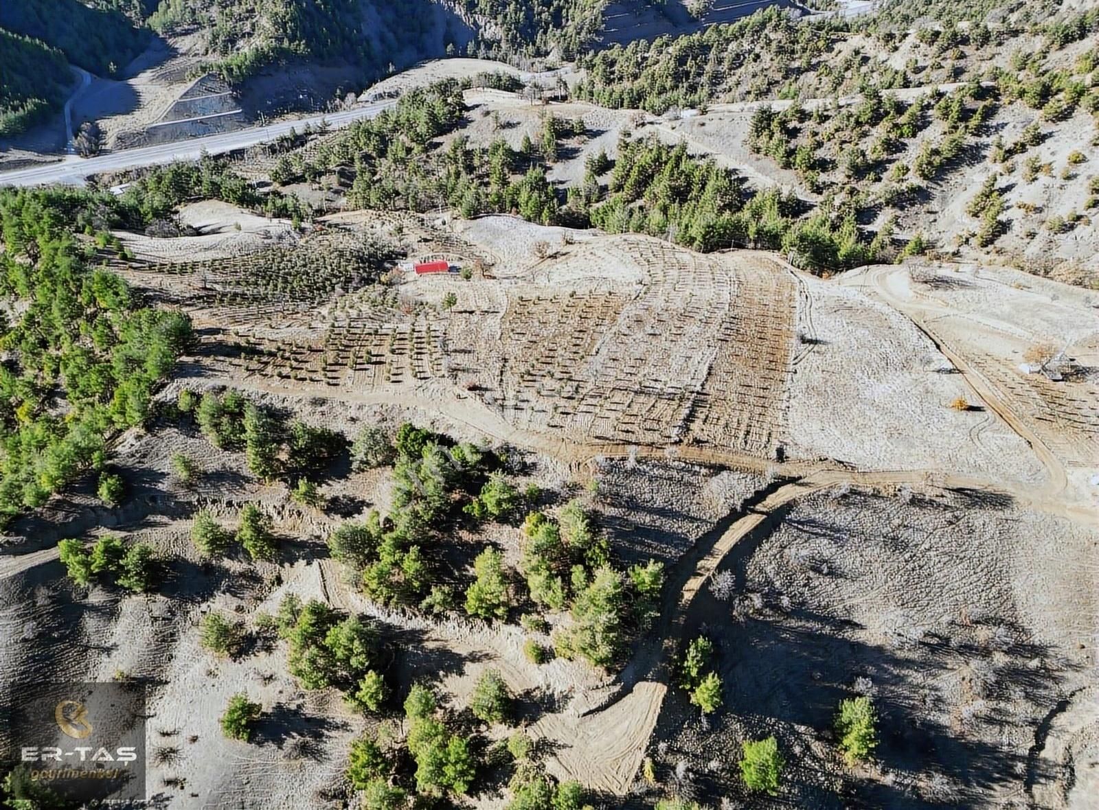 Onikişubat Kürtül Satılık Tarla Er-taş Gm'den Kürtül Eyüp Sultanda Satılık Tek Tapu Zirve Yer