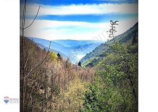 Göynük Çubukköy Köyü (Merkez) Satılık Tarla Bolu Göynükde Yola Yakın 2150m2 Satılık Arsa