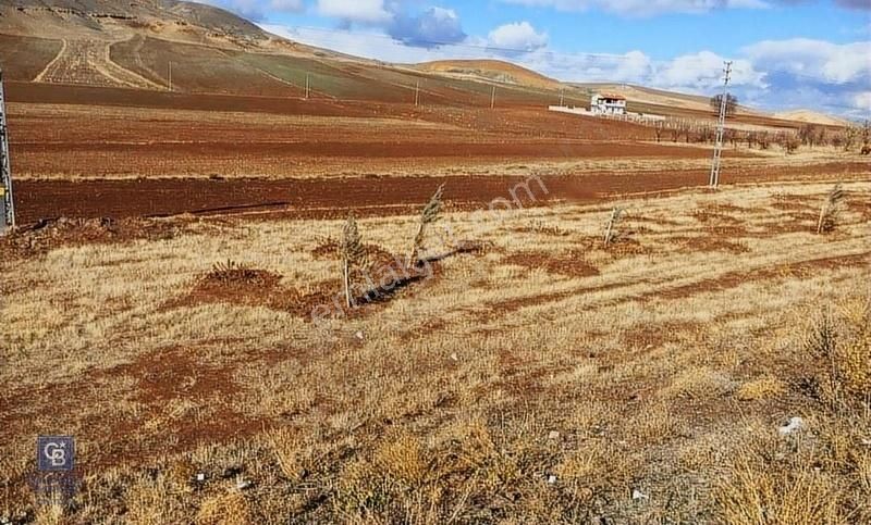 Sarıoğlan Ilıca Satılık Tarla Sivas Çevre Yoluna Sıfır Yatırım Değeri Yüksek Tek Tapulu Tarla