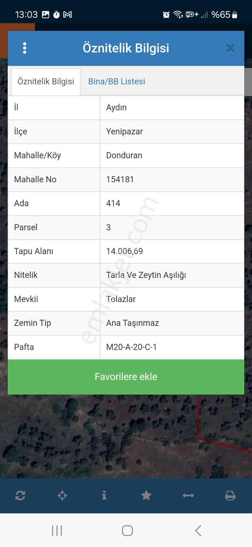 Aydın Nazilli Yöntem Emlaktan Yenipazar Donduran Mahallesinde Satılık Zeytinlik - Görsel 3