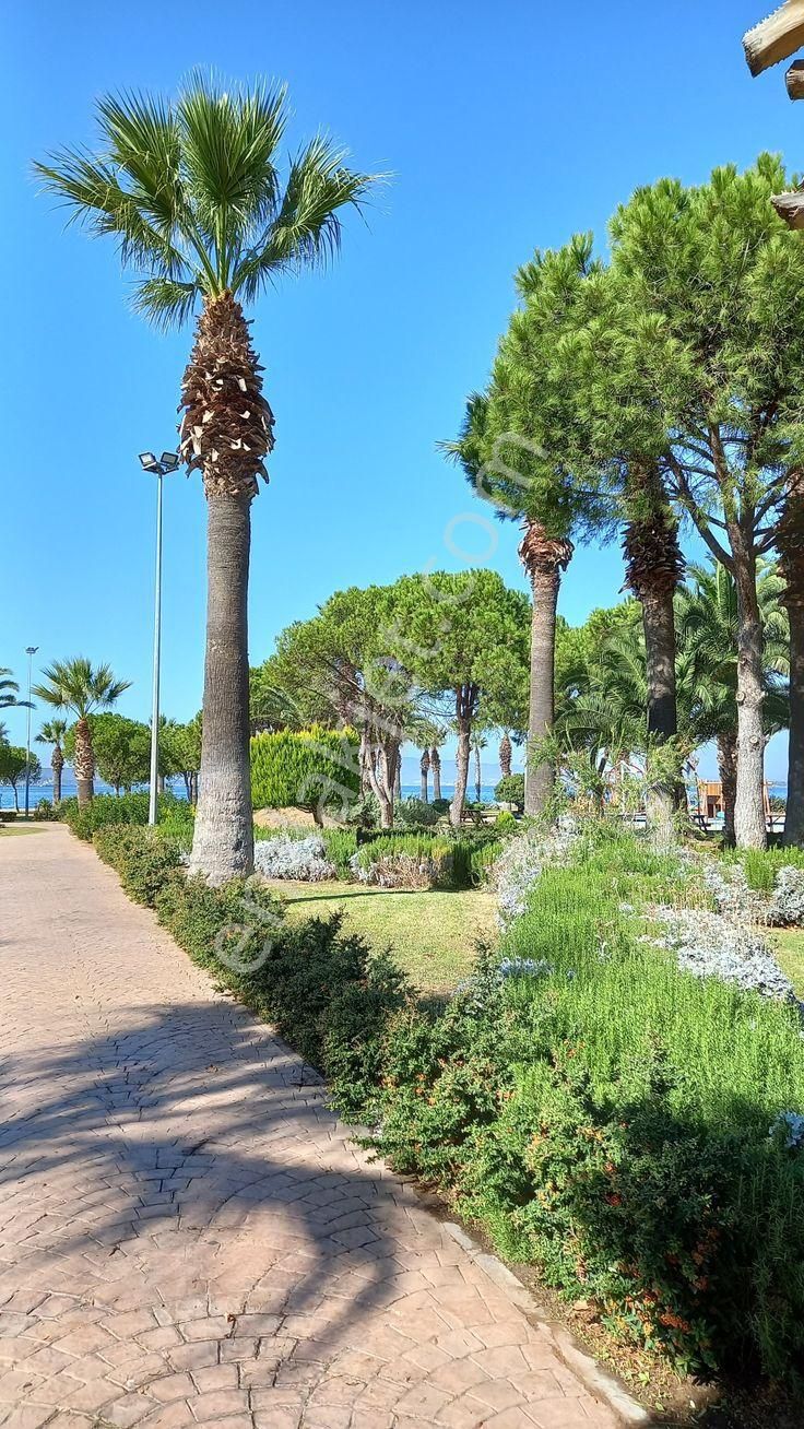 Aliağa Da Yatırım Fırsatı - Görsel 2