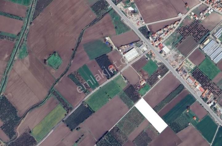 Kabakum Mahallesinde Acil Satılık İçerisinde 40o Ceviz Fidanı Bulunan Yatırımlık Tarla - Görsel 2