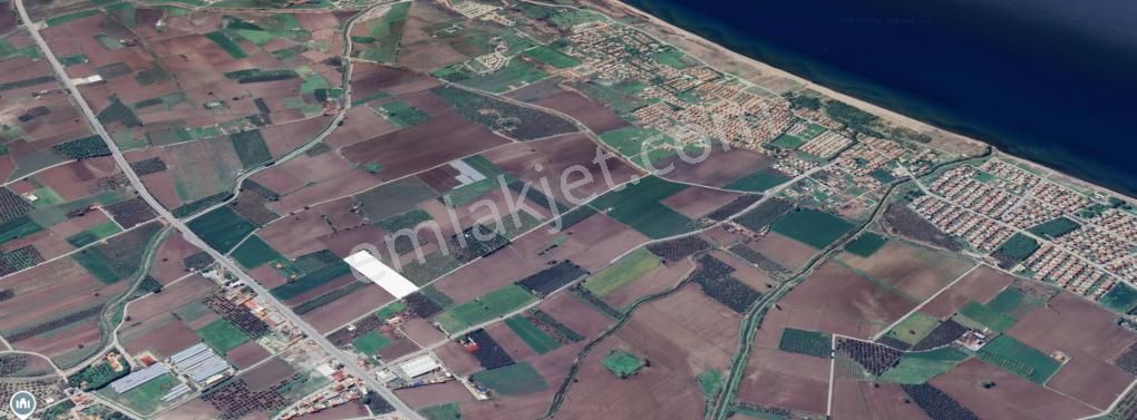 Kabakum Mahallesinde Acil Satılık İçerisinde 40o Ceviz Fidanı Bulunan Yatırımlık Tarla - Görsel 3