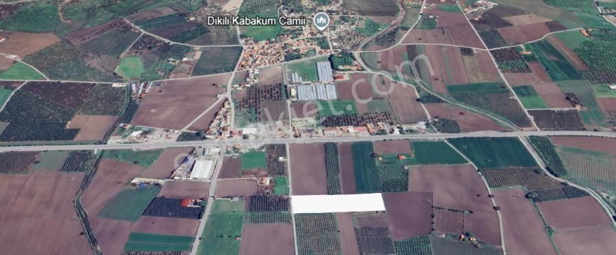 Kabakum Mahallesinde Acil Satılık İçerisinde 40o Ceviz Fidanı Bulunan Yatırımlık Tarla - Görsel 4