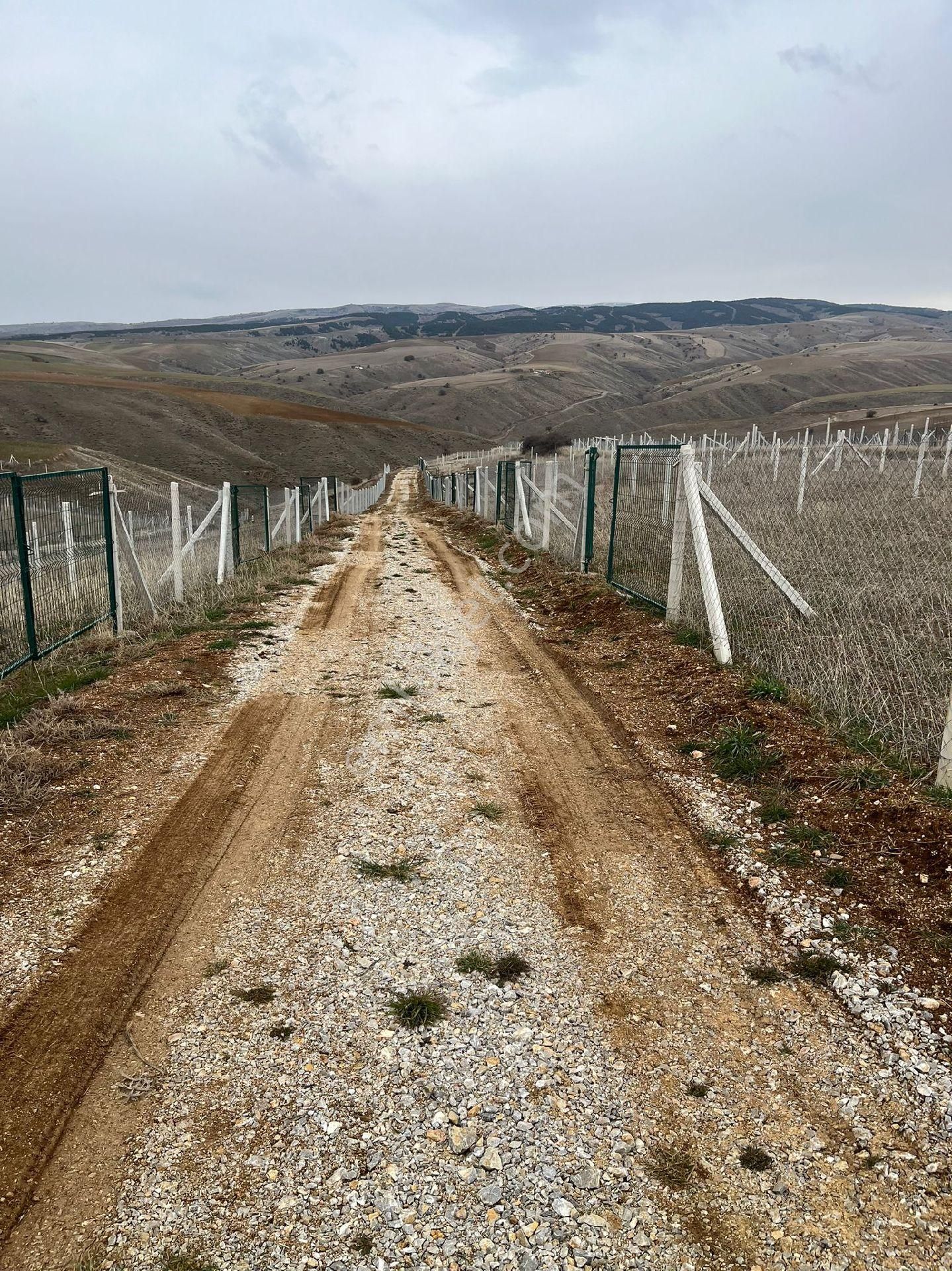 Akyurt Teberik Satılık Bağ & Bahçe Aydıncık Teberikte Ankaranın En Uygun Fiyatlı Hobi Bahçesi Yatırımlık Al Koy Kenara