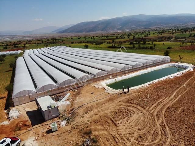 Antalya Elmalı Küçüksöğle Mah'de Elektriği, Sondajı Ve Yolu Bulunan 24.000m2 Satılık Kapalı Sera - Görsel 6