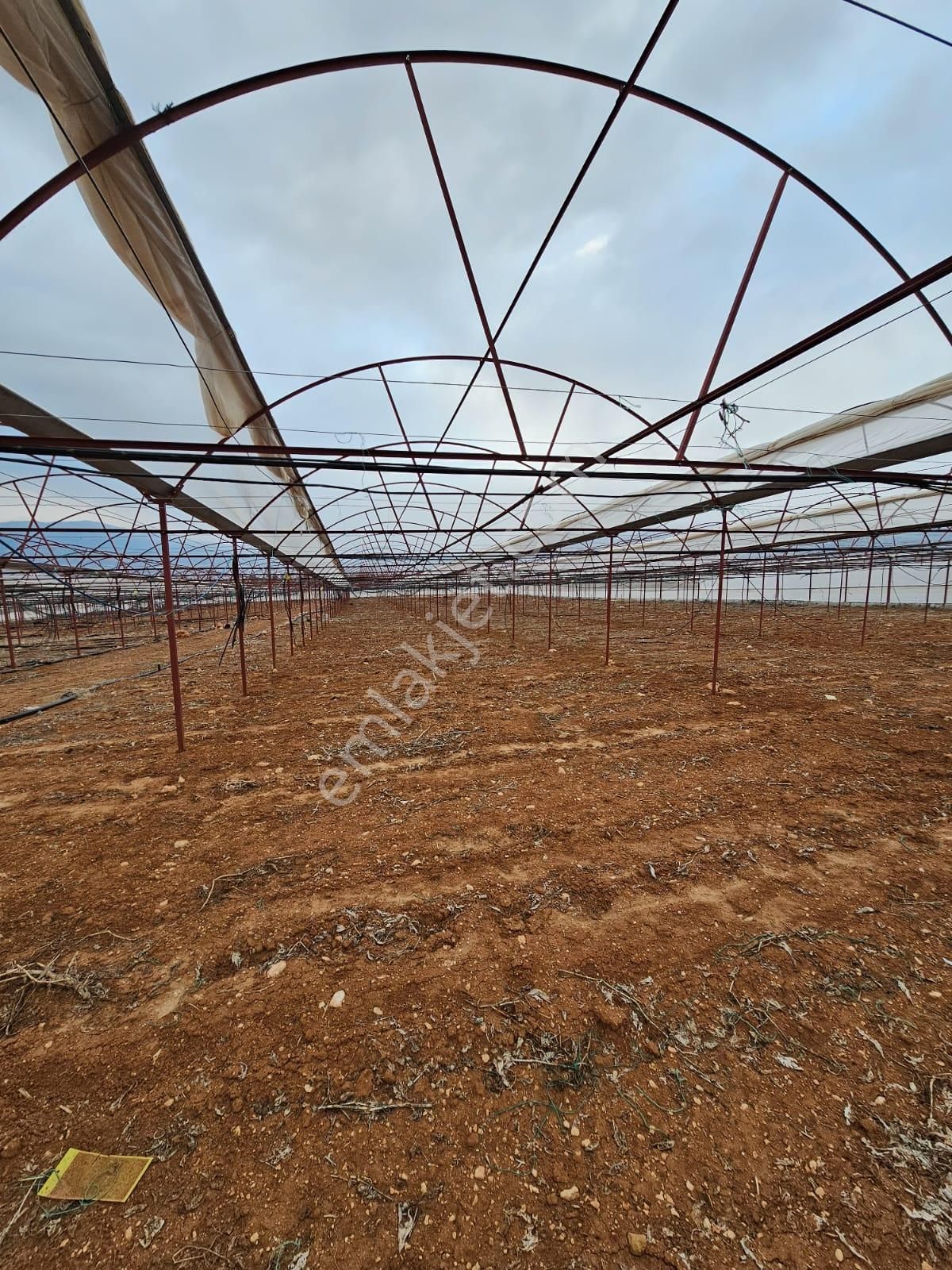 Antalya Elmalı Küçüksöğle Mah'de Elektriği, Sondajı Ve Yolu Bulunan 24.000m2 Satılık Kapalı Sera - Görsel 8