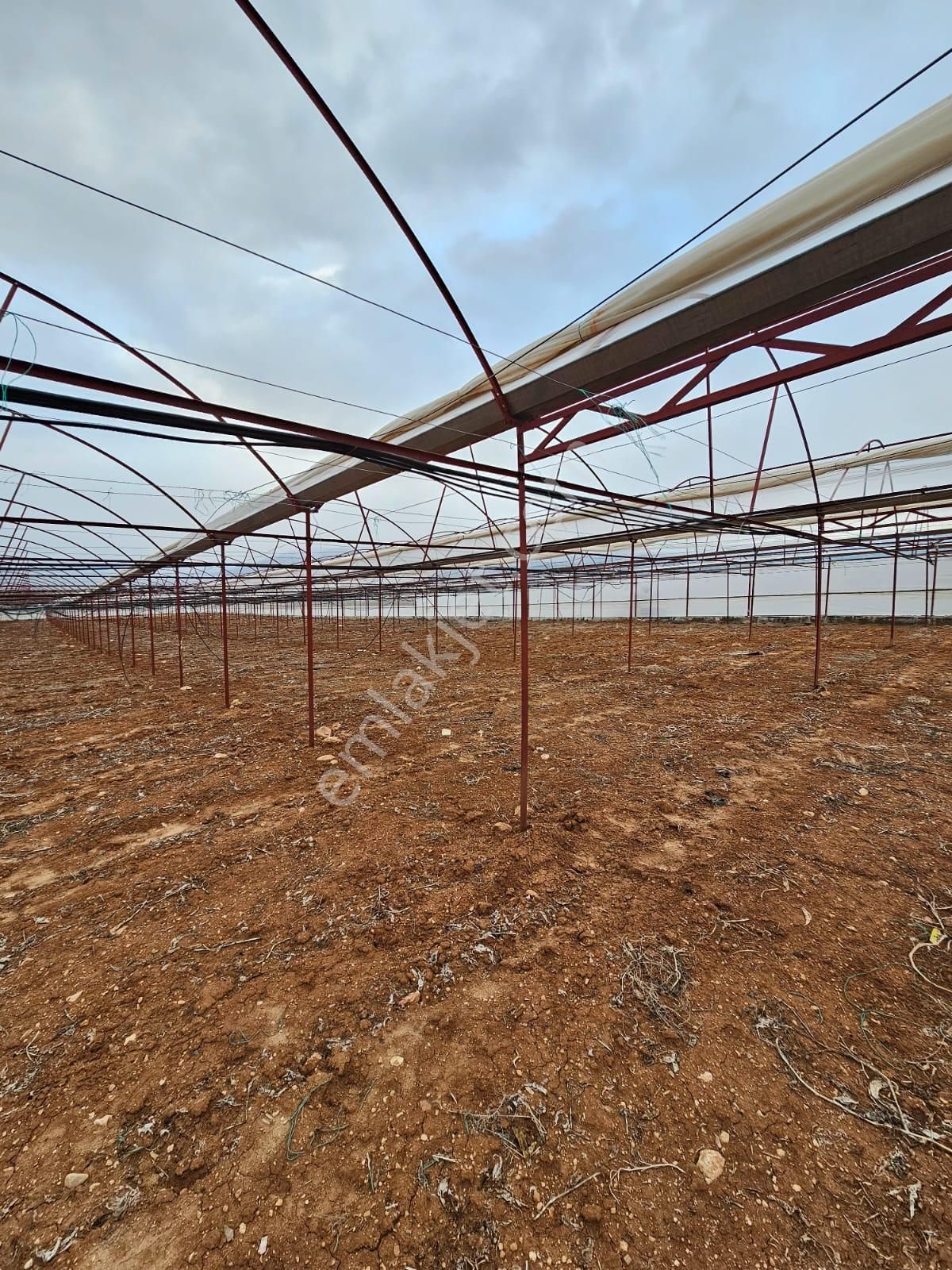 Antalya Elmalı Küçüksöğle Mah'de Elektriği, Sondajı Ve Yolu Bulunan 24.000m2 Satılık Kapalı Sera - Görsel 21