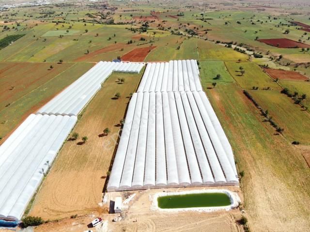 Antalya Elmalı Küçüksöğle Mah'de Elektriği, Sondajı Ve Yolu Bulunan 24.000m2 Satılık Kapalı Sera - Görsel 14