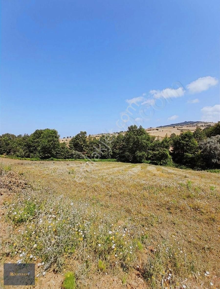 Ankara Yoluna Yakın 7225 M2 Satılık Tarla - Görsel 9