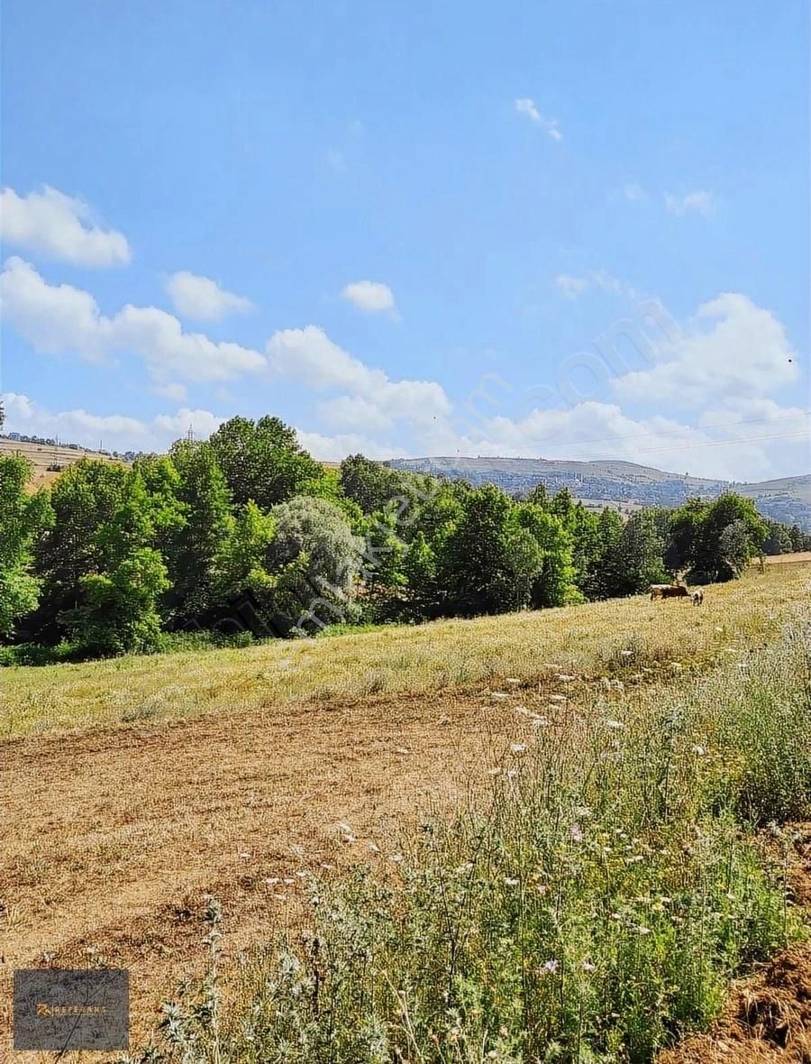 Ankara Yoluna Yakın 7225 M2 Satılık Tarla - Görsel 7