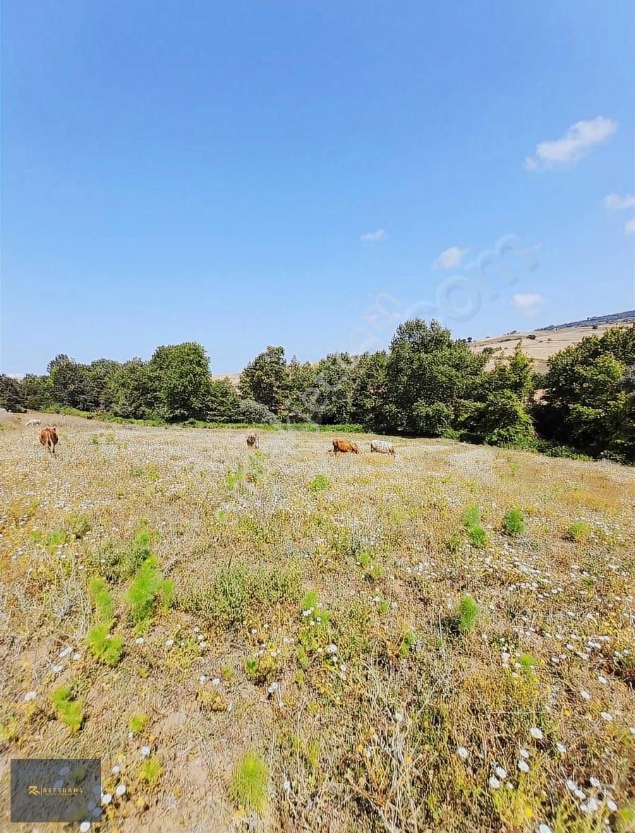 Ankara Yoluna Yakın 7225 M2 Satılık Tarla - Görsel 8