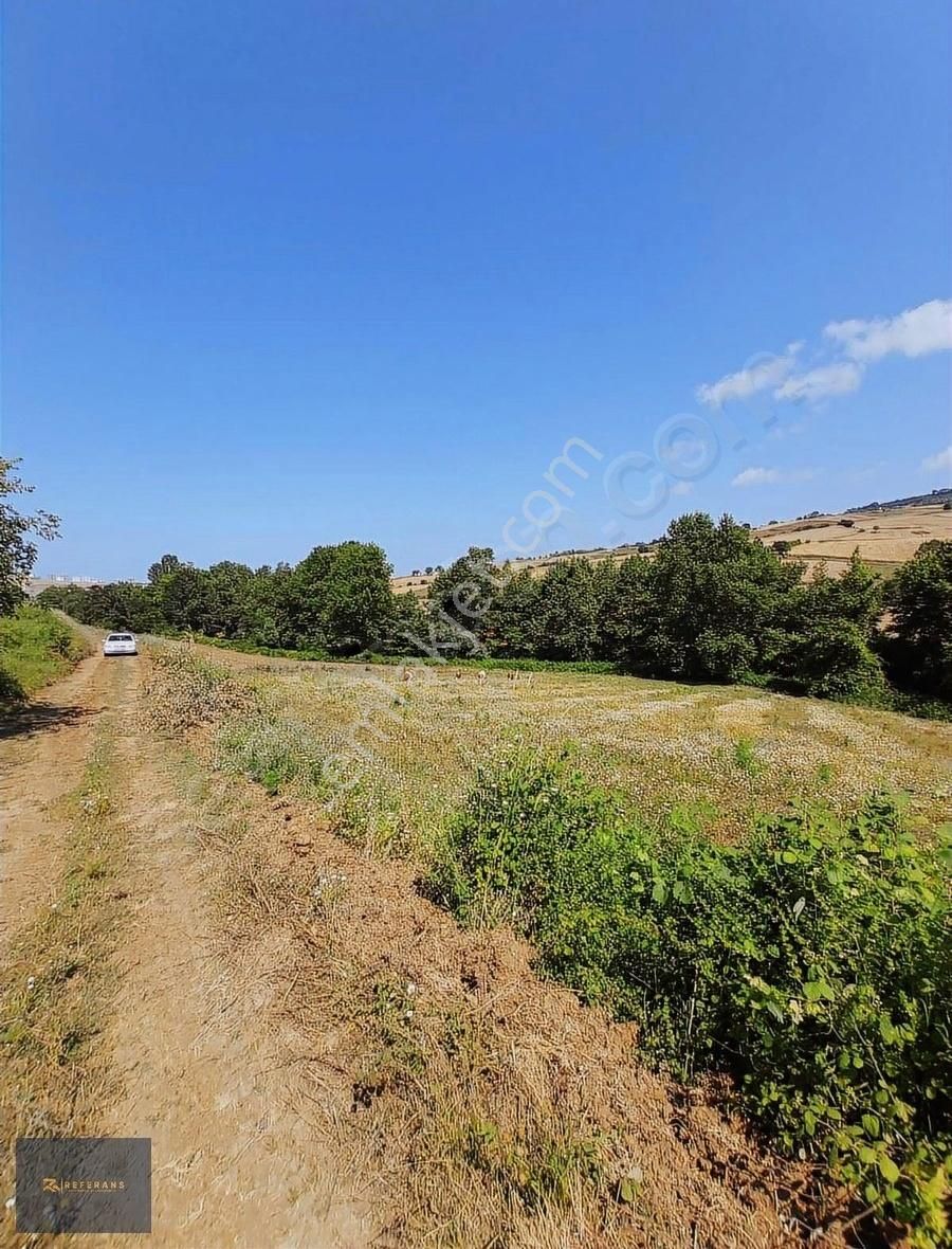 Ankara Yoluna Yakın 7225 M2 Satılık Tarla - Görsel 4