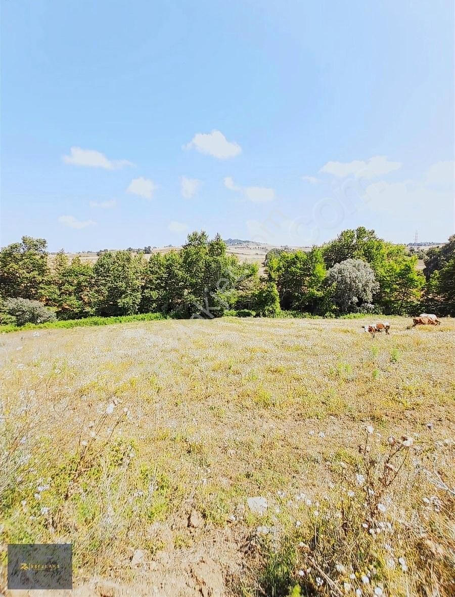 Ankara Yoluna Yakın 7225 M2 Satılık Tarla - Görsel 6