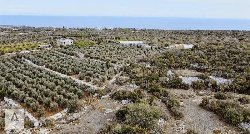 Erdemli Batısandal Satılık Tarla Deniz Ve Şehir Manzaralı 2 Cephe Resmi Yolu Var