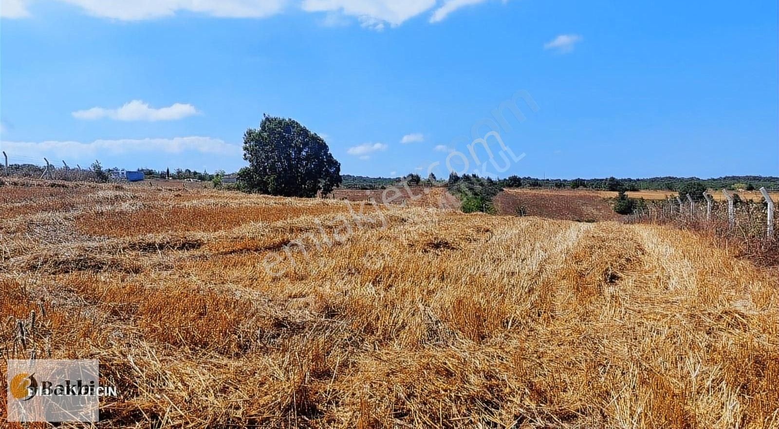 Çatalca Örencik Satılık Çaplı Muafakatnameli Çevrili Arsa. - Görsel 16