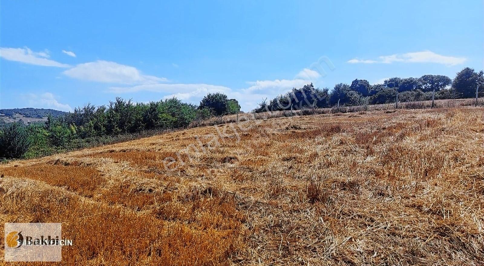 Çatalca Örencik Satılık Çaplı Muafakatnameli Çevrili Arsa. - Görsel 5