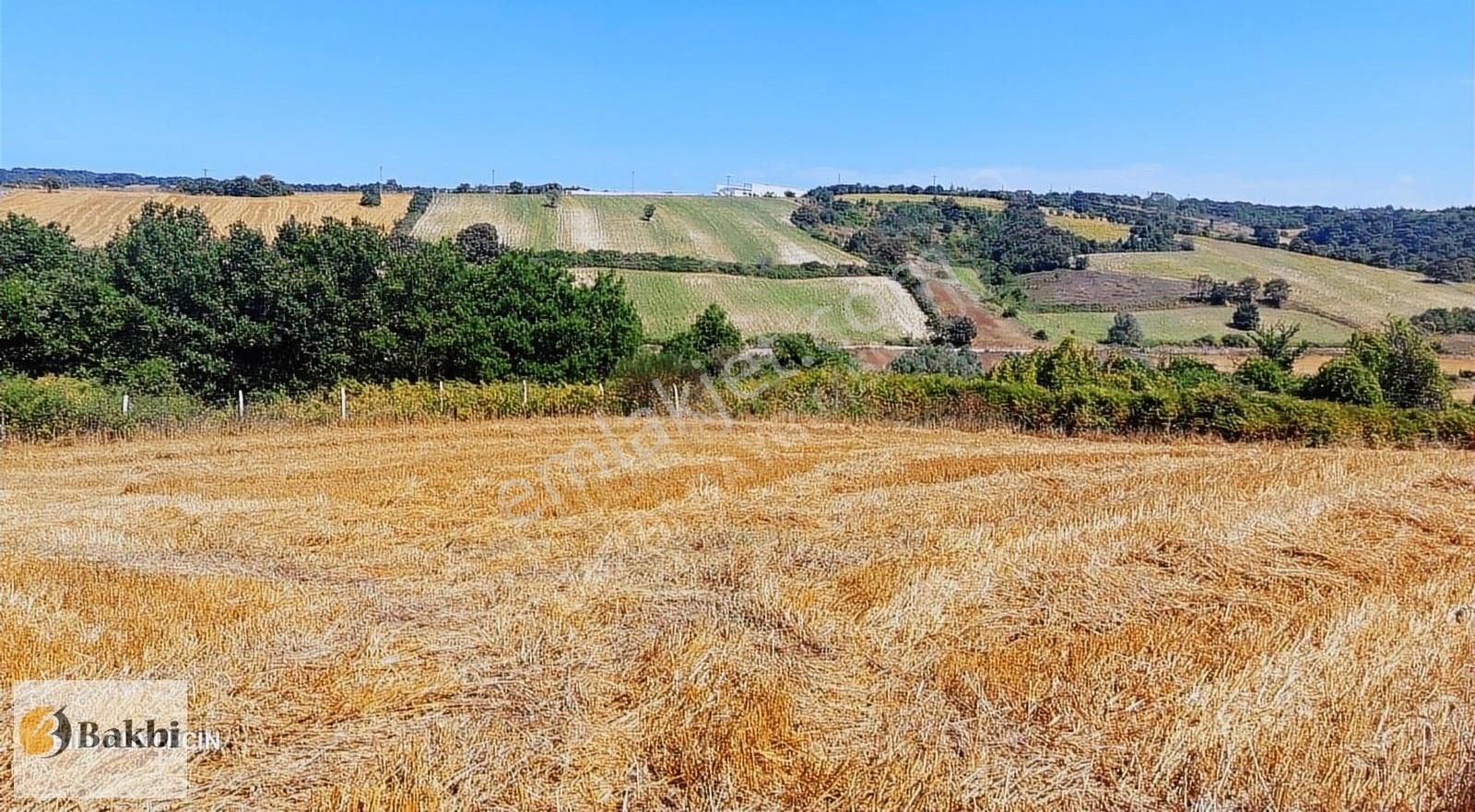 Çatalca Örencik Satılık Çaplı Muafakatnameli Çevrili Arsa. - Görsel 6