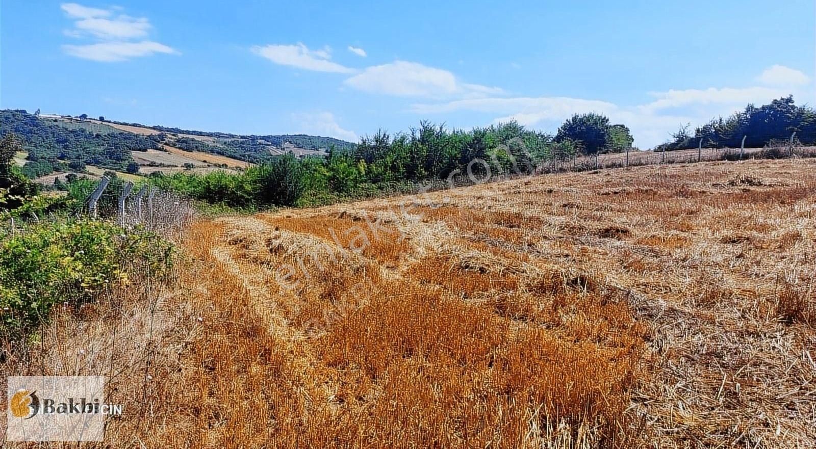 Çatalca Örencik Satılık Çaplı Muafakatnameli Çevrili Arsa. - Görsel 13