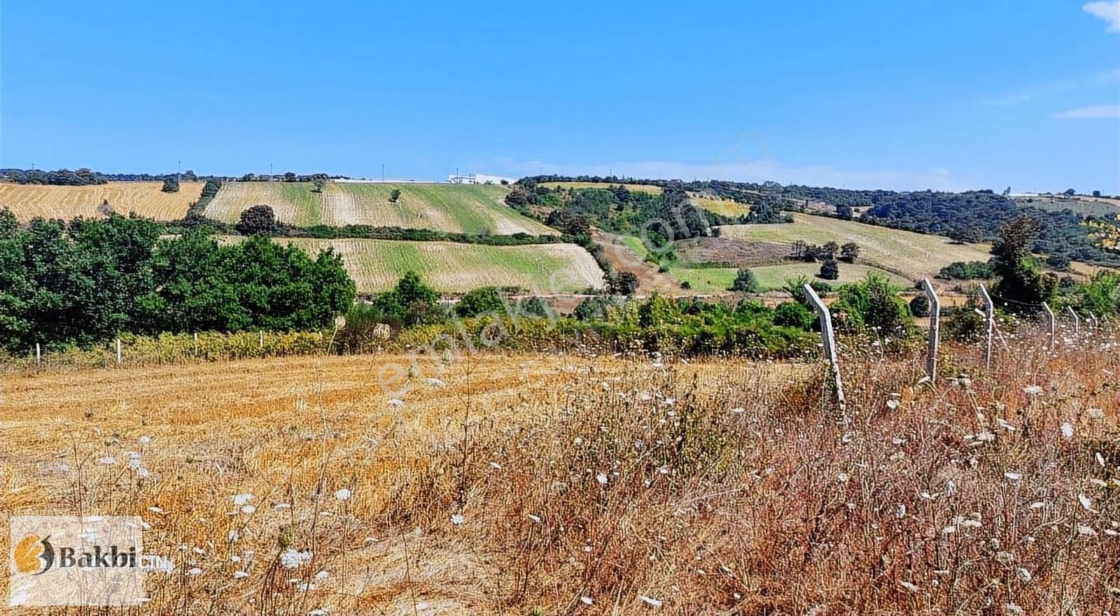Çatalca Örencik Satılık Çaplı Muafakatnameli Çevrili Arsa. - Görsel 12