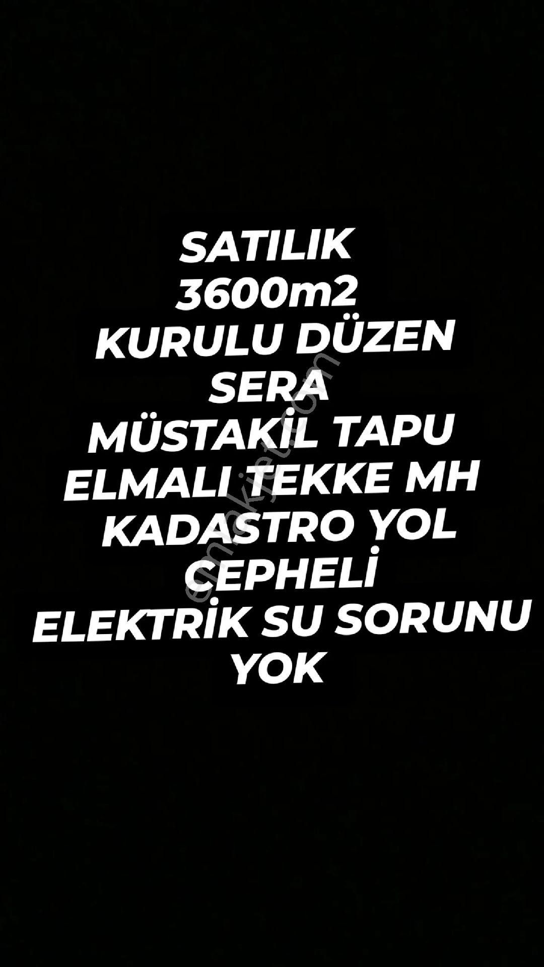 Elmalı Tekke Satılık Tarla Müstakil Tapu Sera Yol Var Suyu Var Elektriği Suyu Elmalı Tekke