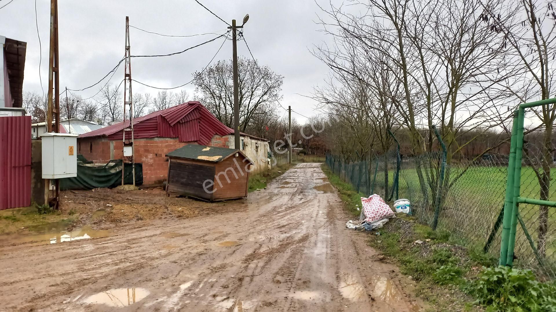 Gebze Cumaköy Satılık Tarla Gebze Cumaköy Müstakil Parsel 465 M2