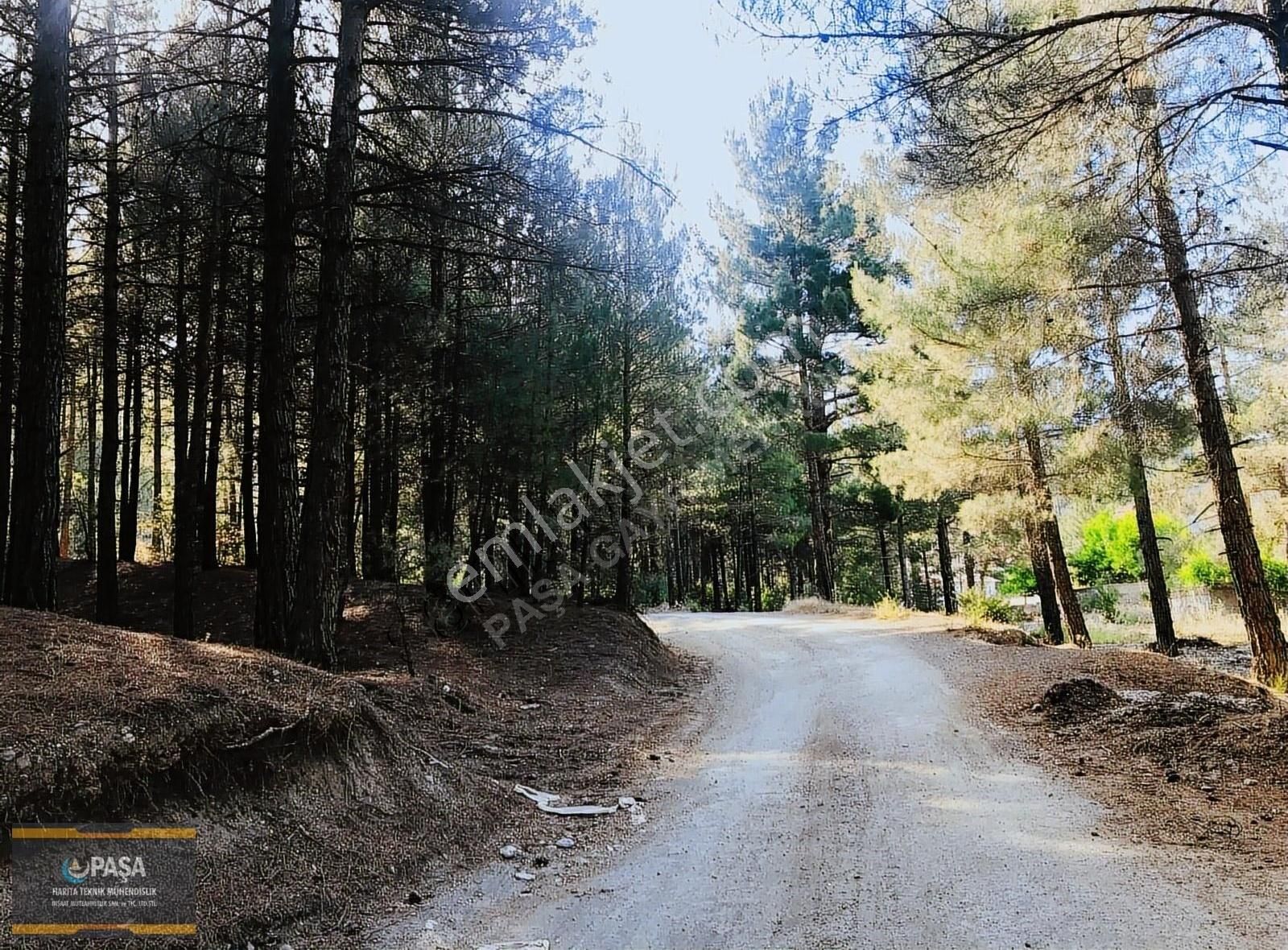 Pozantı Yenikonacık Satılık Konut İmarlı Yenikonacık/pozantı'da İmarlı Satılık Arsa Paşa Gyrimenkul'den