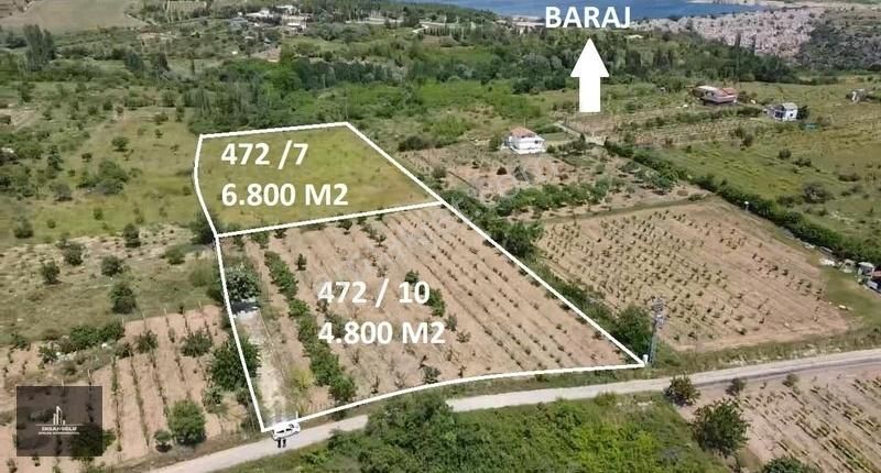 Kırklareli Merkez Doğu Satılık Bağ & Bahçe 2 Tapu Tek Fiyat, Hazır Yetişmiş Meyve Ağaçları, Üzüm Bağları